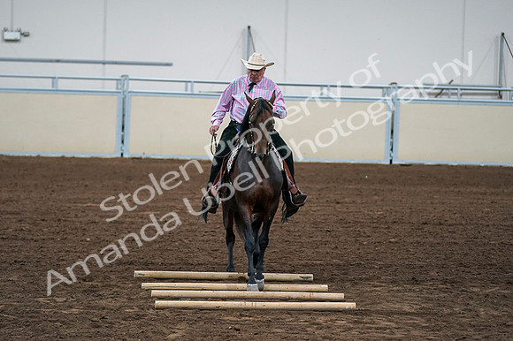 2020 - AB Morgan Horse - Fri, Sept 04 - 00577
