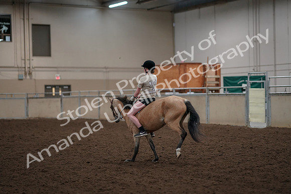 2019 Morgan Horse Show - Aug 30, 2019 - 31246