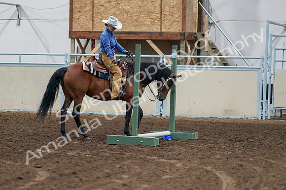 2020 - AB Morgan Horse - Fri, Sept 04 - 00249