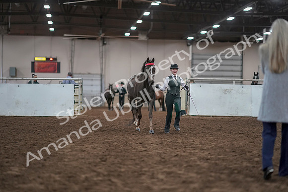 2019 Morgan Horse Show - Aug 31, 2019 - 01887
