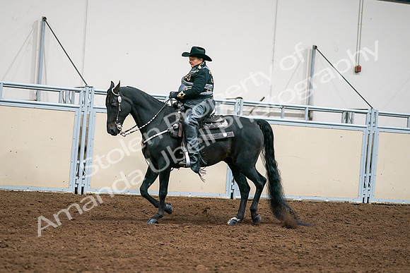 2020 - AB Morgan Horse - Sat, Sept 05 - 08903