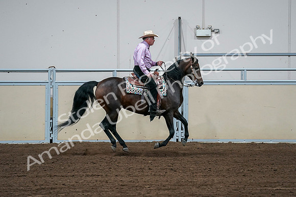 2020 - AB Morgan Horse - Fri, Sept 04 - 00564