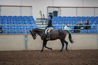 2019 Morgan Horse Show - Aug 31, 2019 - 08036