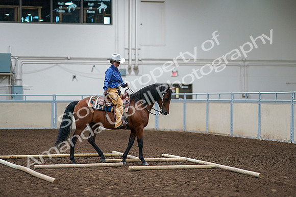 2020 - AB Morgan Horse - Fri, Sept 04 - 00272