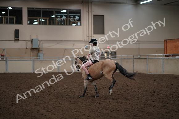 2019 Morgan Horse Show - Aug 30, 2019 - 31255