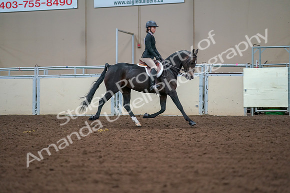 2019 Morgan Horse Show - Aug 30, 2019 - 20769