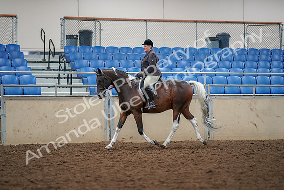 2019 Morgan Horse Show - Aug 30, 2019 - 22230