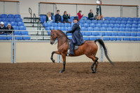 2020 - AB Morgan Horse - Sat, Sept 05 - 09703