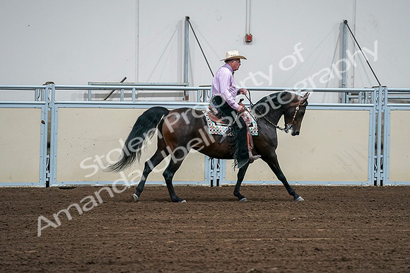 2020 - AB Morgan Horse - Fri, Sept 04 - 00571