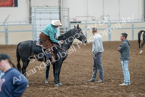 2020 - AB Morgan Horse - Fri, Sept 04 - 00662