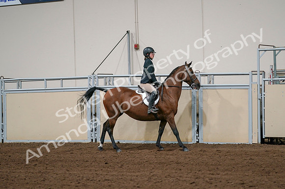 2020 - AB Morgan Horse - Fri, Sept 04 - 02092