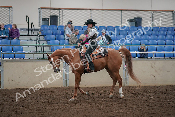 2019 Morgan Horse Show - Aug 30, 2019 - 26100