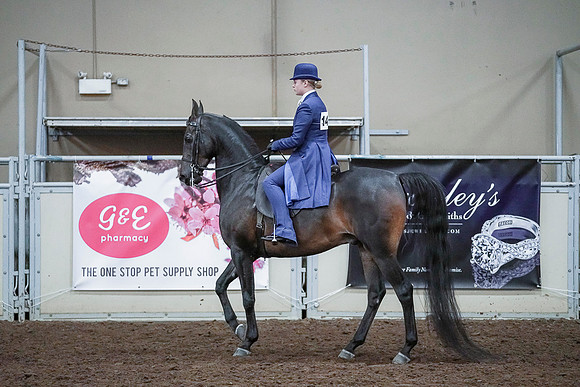 Spring Fling - Saturday - April 20, 2019  -  00736