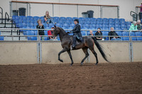 2019 Morgan Horse Show - Aug 30, 2019 - 15285