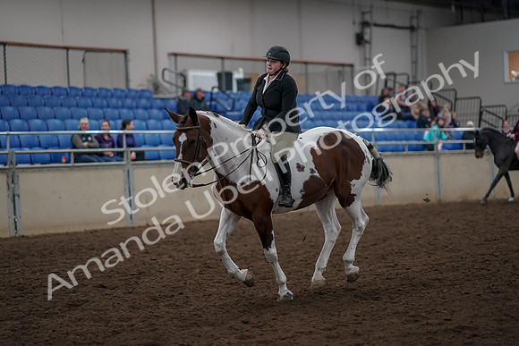 2019 Morgan Horse Show - Aug 30, 2019 - 31288