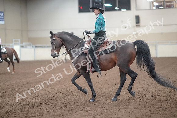2019 Morgan Horse Show - Sept 01, 2019 - 06984