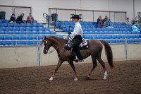2019 Morgan Horse Show - Aug 31, 2019 - 14102