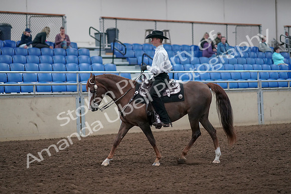 2019 Morgan Horse Show - Aug 31, 2019 - 14102