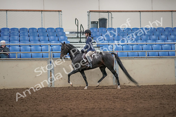 2019 Morgan Horse Show - Aug 31, 2019 - 04959