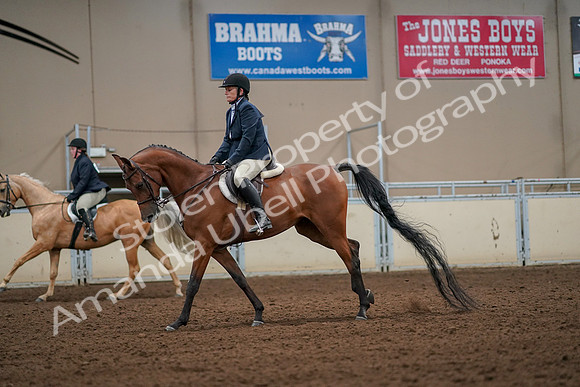 2019 Morgan Horse Show - Aug 30, 2019 - 22439
