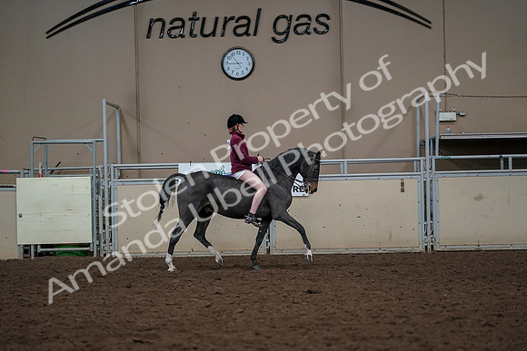 2019 Morgan Horse Show - Aug 30, 2019 - 31438