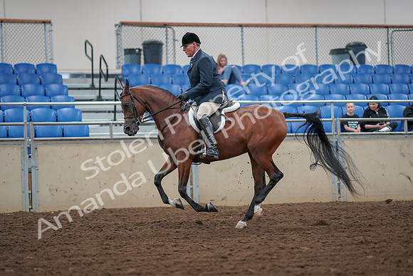 2019 Morgan Horse Show - Aug 30, 2019 - 16359