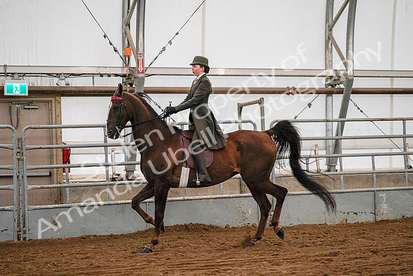 July 19, 2019 - 8904