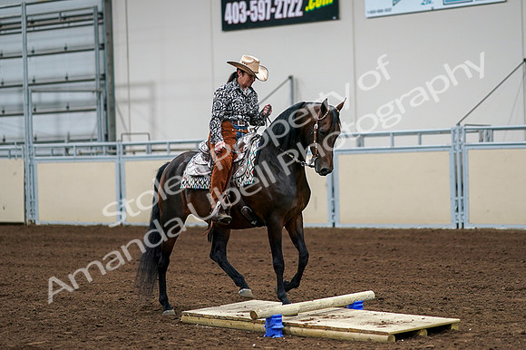 2020 - AB Morgan Horse - Fri, Sept 04 - 00316