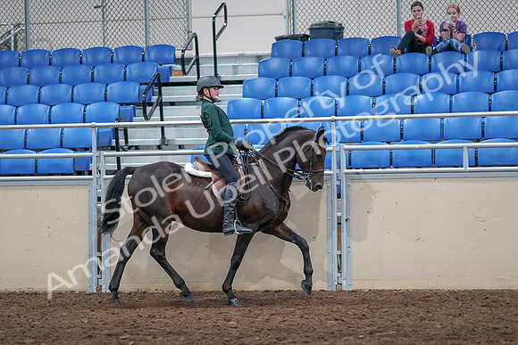 2020 - AB Morgan Horse - Sat, Sept 05 - 05173