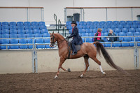 2019 Morgan Horse Show - Aug 31, 2019 - 16894