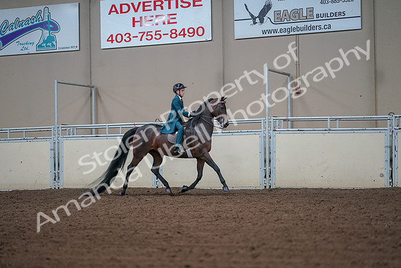 2019 Morgan Horse Show - Aug 30, 2019 - 18010