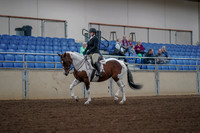 2019 Morgan Horse Show - Aug 30, 2019 - 14857