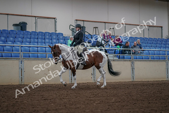 2019 Morgan Horse Show - Aug 30, 2019 - 14857