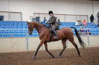 2019 Morgan Horse Show - Aug 30, 2019 - 29205