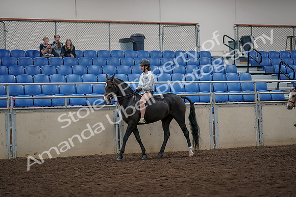 2019 Morgan Horse Show - Aug 30, 2019 - 31204