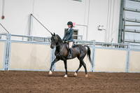 2020 - AB Morgan Horse - Sat, Sept 05 - 09052