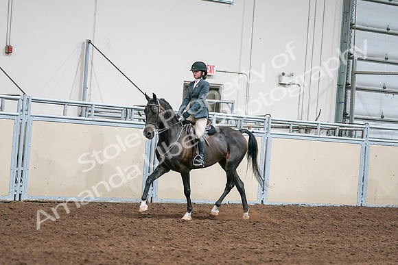2020 - AB Morgan Horse - Sat, Sept 05 - 09052