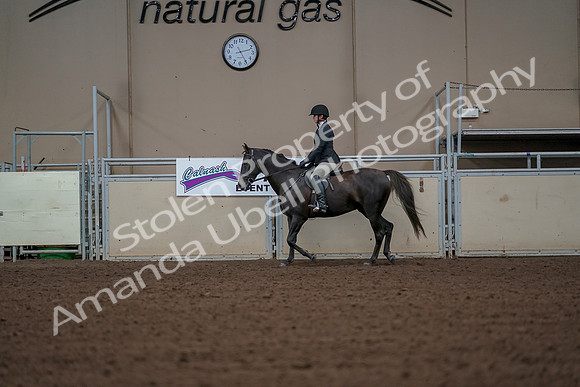 2019 Morgan Horse Show - Aug 30, 2019 - 14940