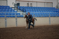 2019 Morgan Horse Show - Aug 31, 2019 - 00367