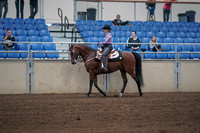 2019 Morgan Horse Show - Sept 01, 2019 - 06765