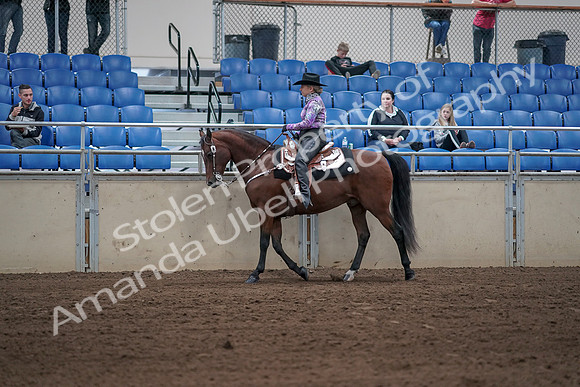 2019 Morgan Horse Show - Sept 01, 2019 - 06765