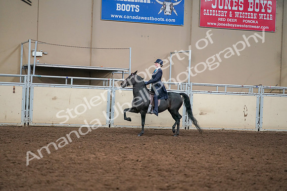 2019 Morgan Horse Show - Aug 30, 2019 - 12228