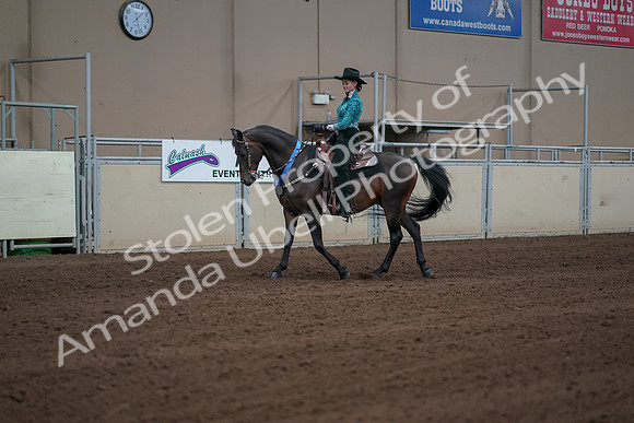 2019 Morgan Horse Show - Sept 01, 2019 - 07297