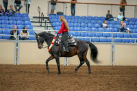 2020 - AB Morgan Horse - Sat, Sept 05 - 10370