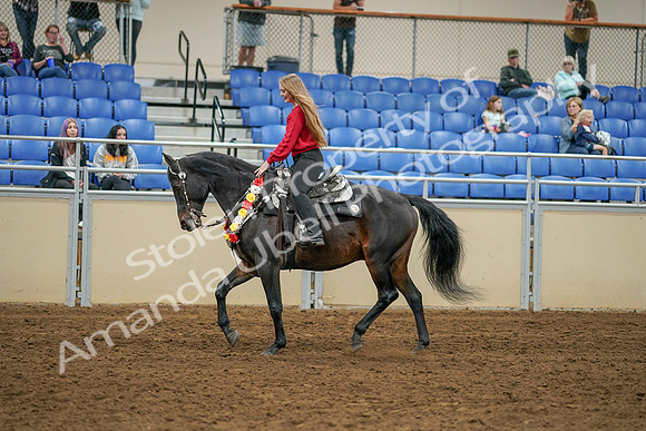 2020 - AB Morgan Horse - Sat, Sept 05 - 10370