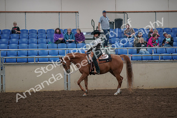 2019 Morgan Horse Show - Aug 30, 2019 - 26018