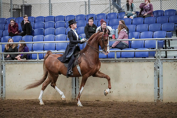 Spring Fling - Saturday - April 20, 2019  -  04391