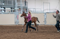 2020 - AB Morgan Horse - Sat, Sept 05 - 00463