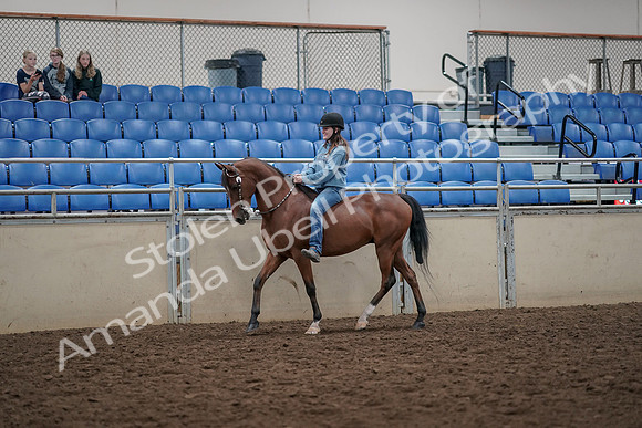 2019 Morgan Horse Show - Aug 30, 2019 - 31094
