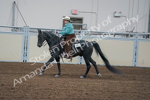 2020 - AB Morgan Horse - Fri, Sept 04 - 00475